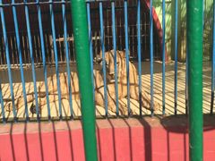 -荆州中山公园动物园