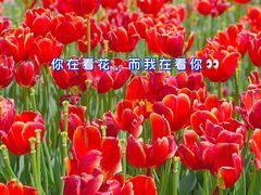 -解放公园