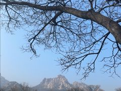 -崂山仰口游览区