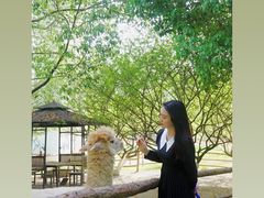 -秀丽东方