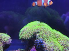 -海合安青岛极地海洋公园