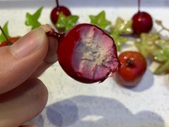 -木棉花开(中心城店)