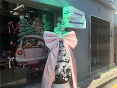 -溪岸路花鸟市场