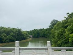 -上海海湾国家森林公园