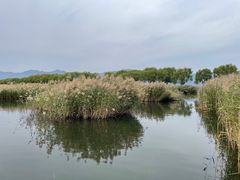 -野鸭湖国家湿地公园