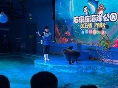 -石家庄海洋公园