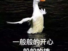 -海底捞火锅(旭辉MALL店)