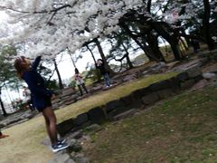 -名古屋城