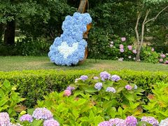 -上海共青森林公园