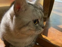 -H立方实景剧情密室(天河旗舰店)