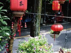 -国生茶庄·地道农家菜团建活动