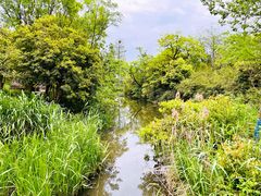 -西溪国家湿地公园