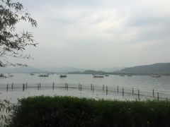 -湖畔居茶楼(湖滨店)