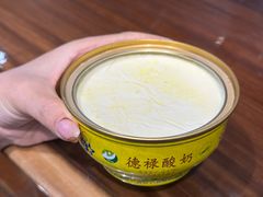 -德禄酸奶(莫家街店)