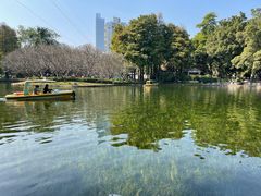 -晓港公园