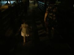 -泰州凤城河风景区-泰山公园