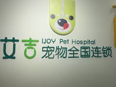 -艾吉宠物医院·疑难杂症转诊中心·猫友好(碧江路院)