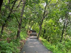 -帽儿山国家森林公园