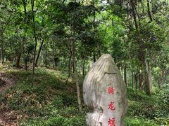 -上海佘山国家森林公园天马山园