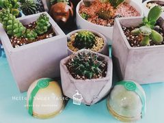 -蜜蜂小象·榴莲千层蛋糕(时代汇11栋店)
