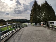 -上海月湖雕塑公园