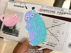 -达拉斯 沃斯堡国际机场