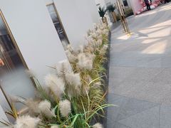 -佐度王子扒房(西城红场店)