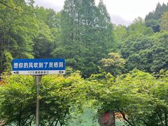 -灵栖洞天