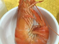 -蚝专家(北滘店)