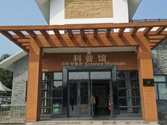-中国扬子鳄村