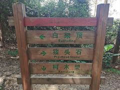 -火炉山森林公园