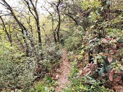 -杭州半山国家森林公园