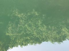 -阿依河景区