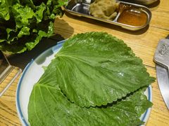 -姜虎东白丁烤肉(恒隆广场店)