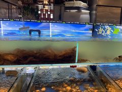 -尚宴牛特鲜自助(太原街万达店)
