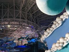 -烟台海昌鲸鲨海洋公园