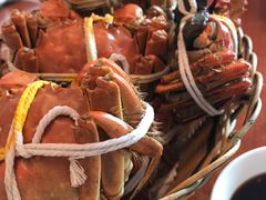 -秋月舫(阳澄湖湖滨中路店)