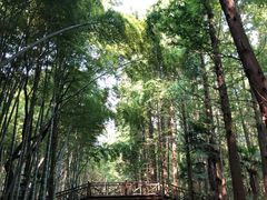 -同里国家湿地公园