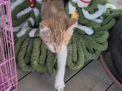 -聚春园·福龙泉澡堂(温泉店)