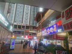 -海合安成都极地海洋公园