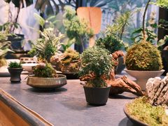 -自由生长植物工作室(深港花卉中心店)