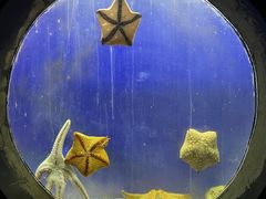 -合肥海洋世界