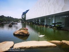 -罗红摄影艺术馆