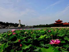 -南戴河国际娱乐中心