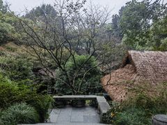 -中国茶叶博物馆(双峰馆区)