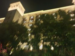 -帝元维多利亚大酒店·宴会厅