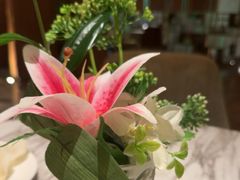 -浅深(北京北四环精品店)