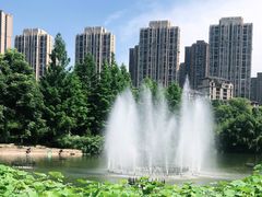 -龙头寺公园