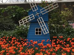 -南宫五洲植物乐园