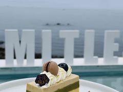 -致璞ZHIPU Rolling on(青岛极地店)